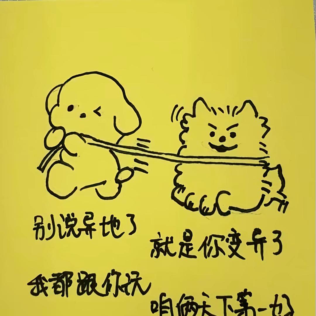 小鱼儿