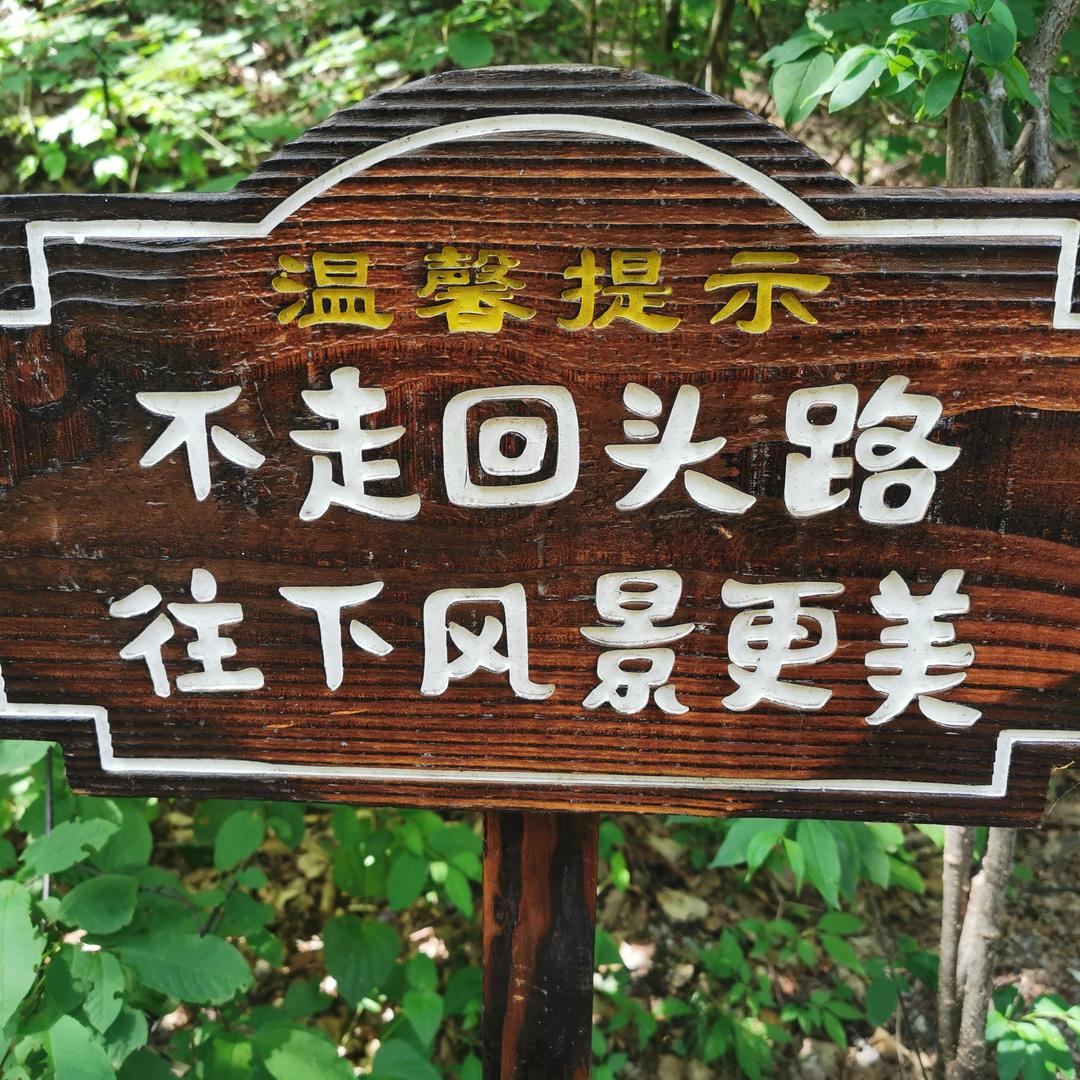 WL84349275