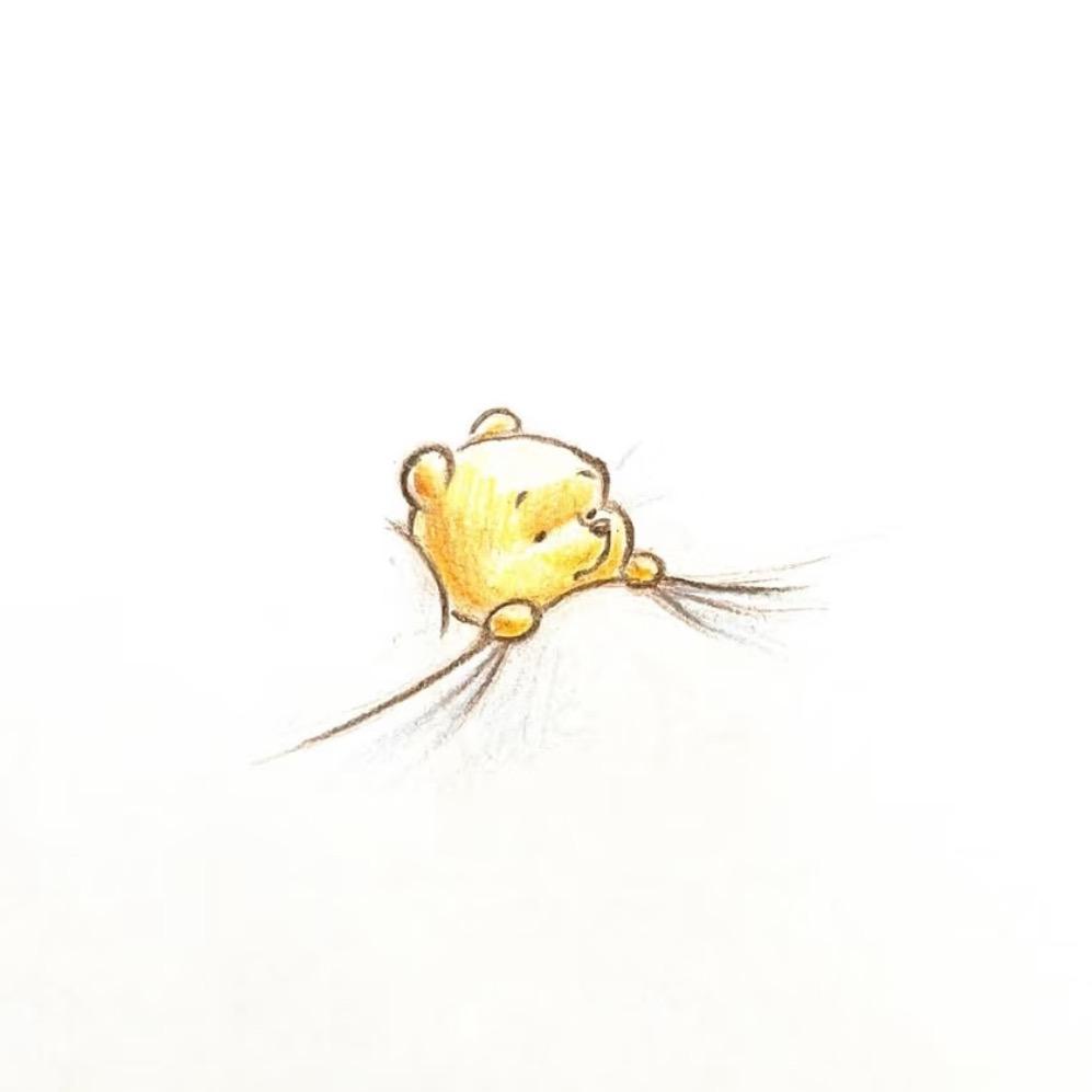 维尼小猪猪🐷
