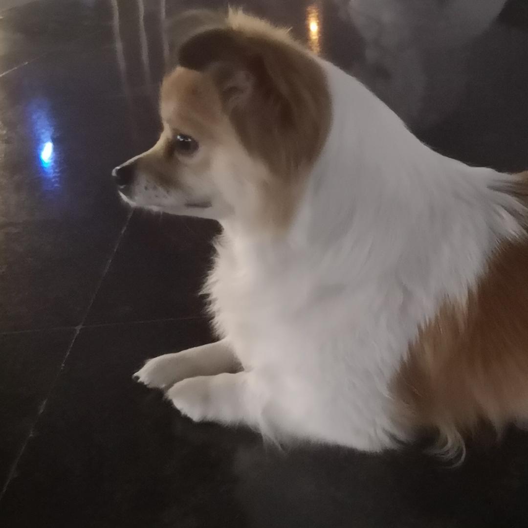 老怪