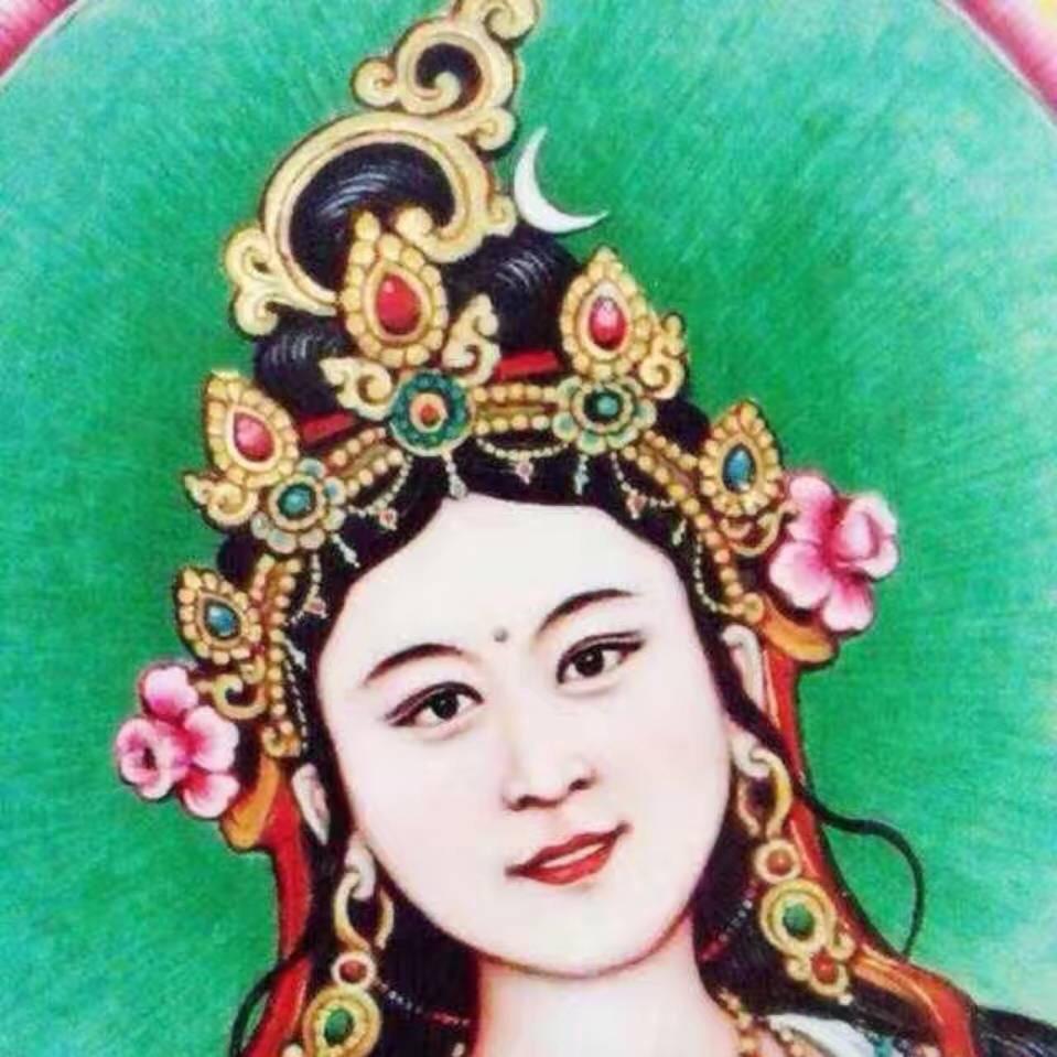 卓玛🪷