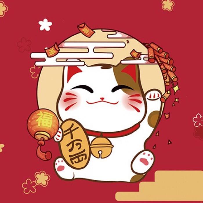 全心优选小杨推荐13