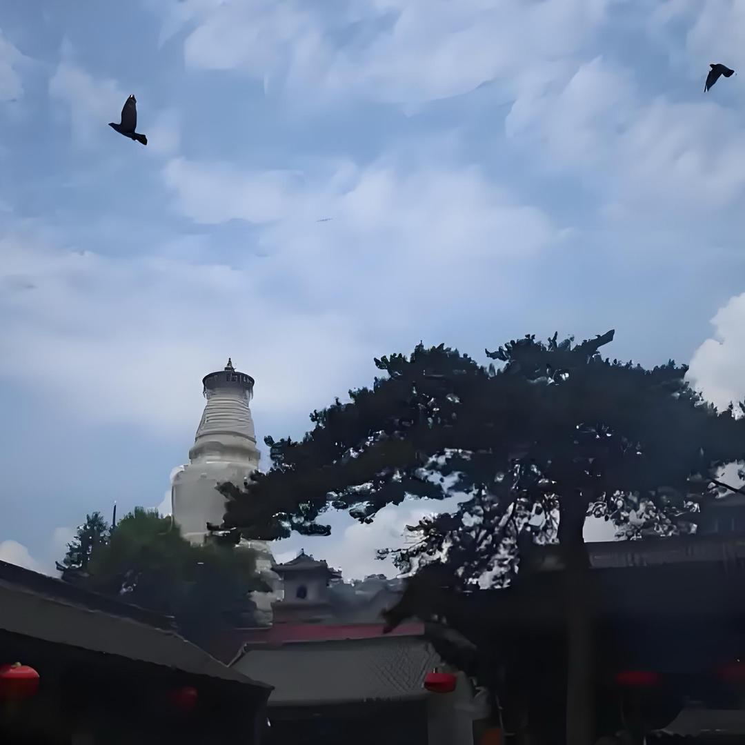 五台山 静缘