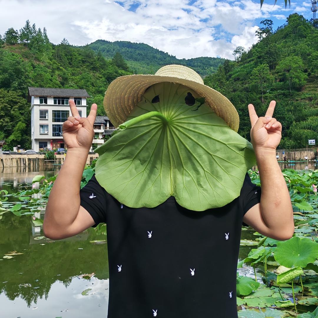 @是非一片云📸