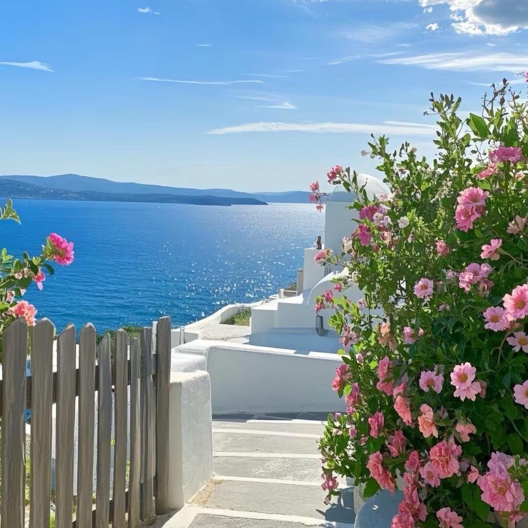 晨光（正能量）