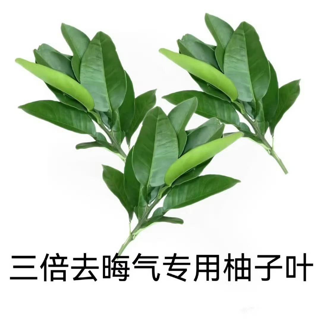 酸菜鱼会武术