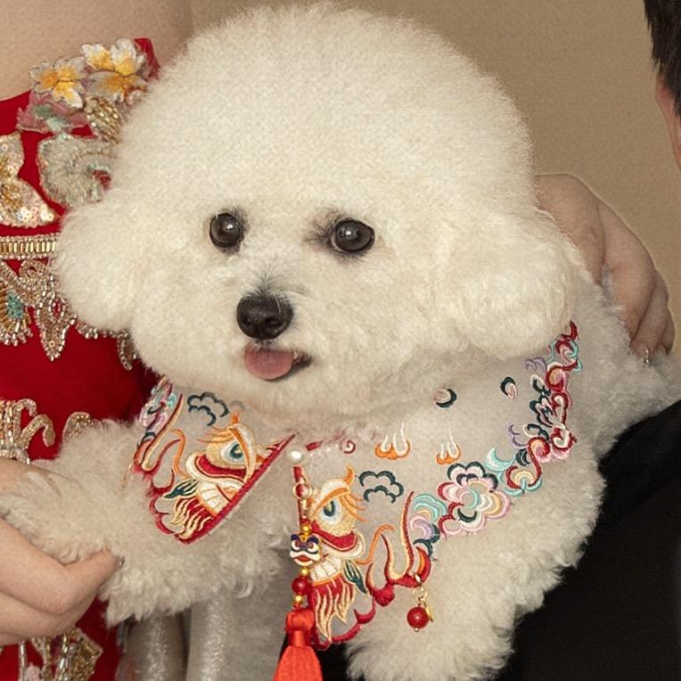 好潦草的一坨🐶