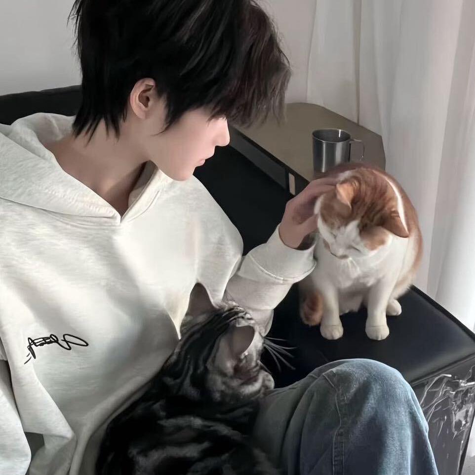 碎冰蓝🧊