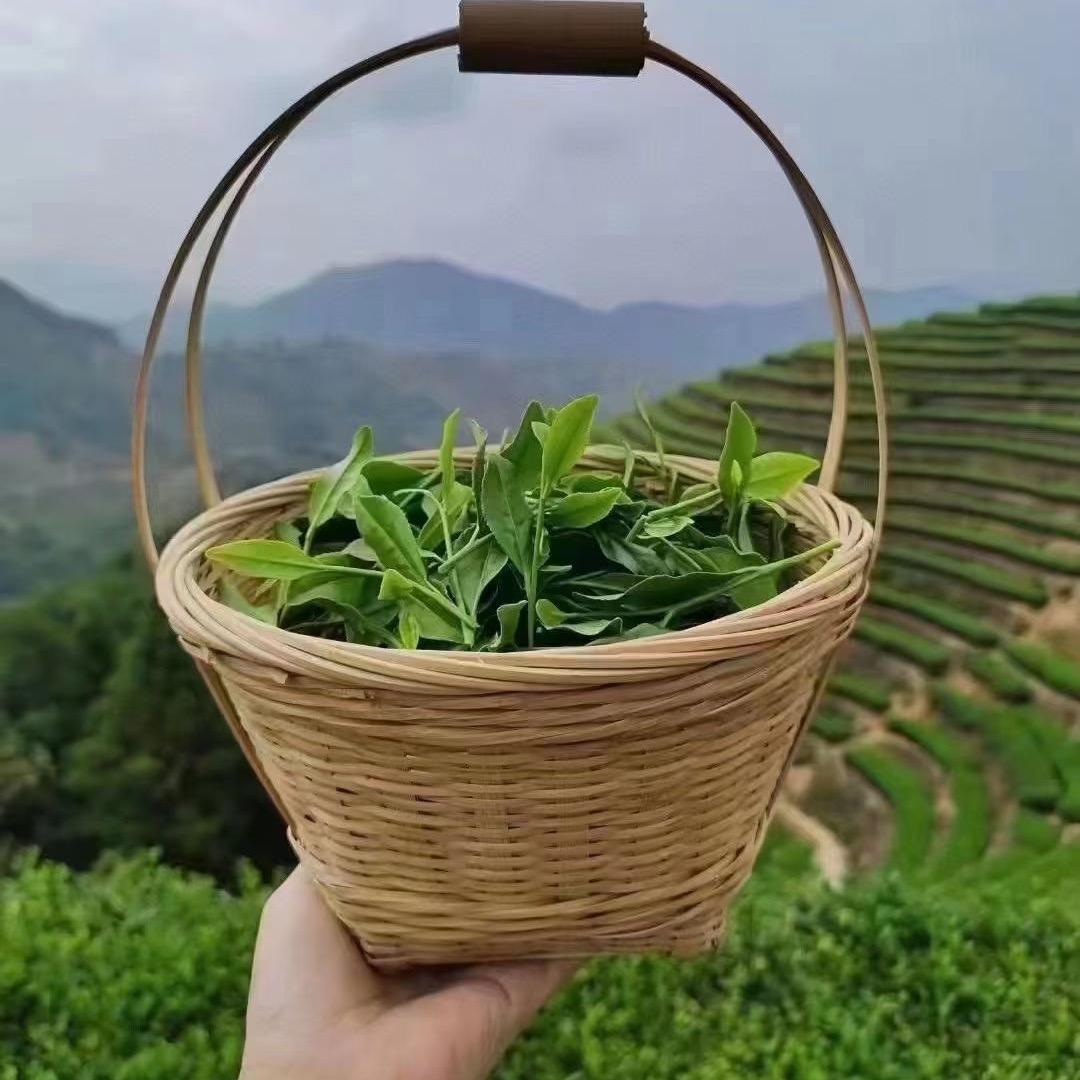 千亿总裁说茶