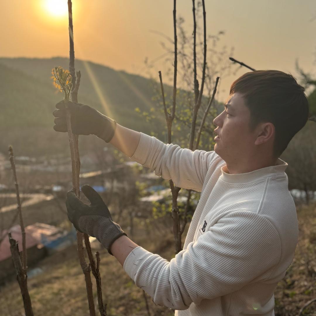 山百味东北土特产