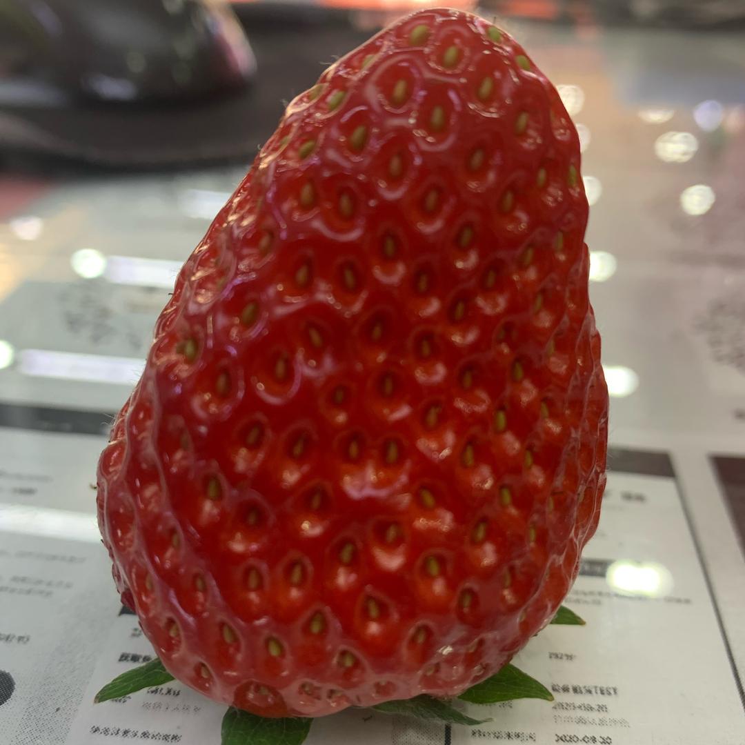 扛起拖把打天下