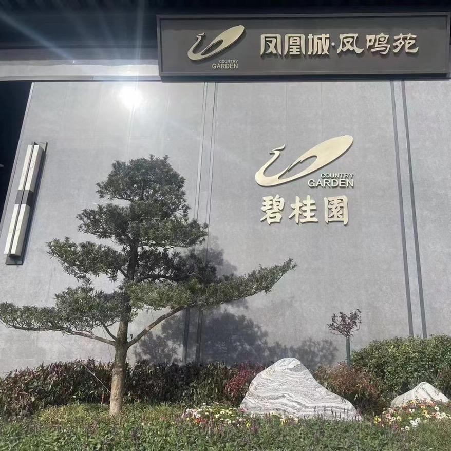河南郑州碧桂园凤凰城工程播报