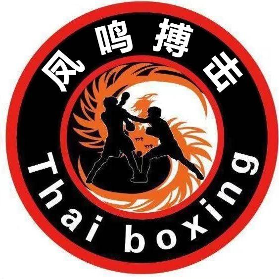 凤鸣搏击   训练营