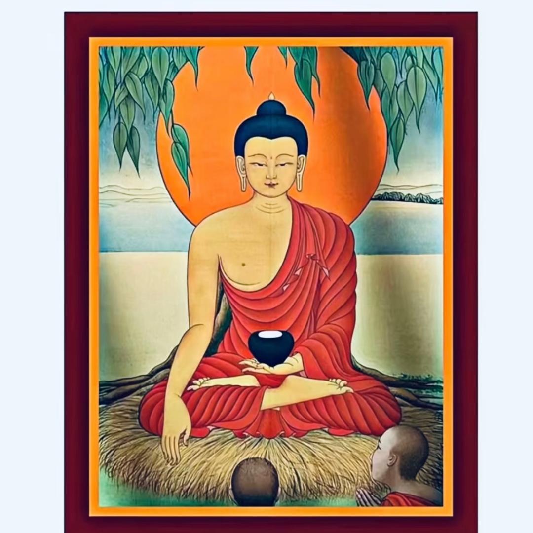 未来可期🐅
