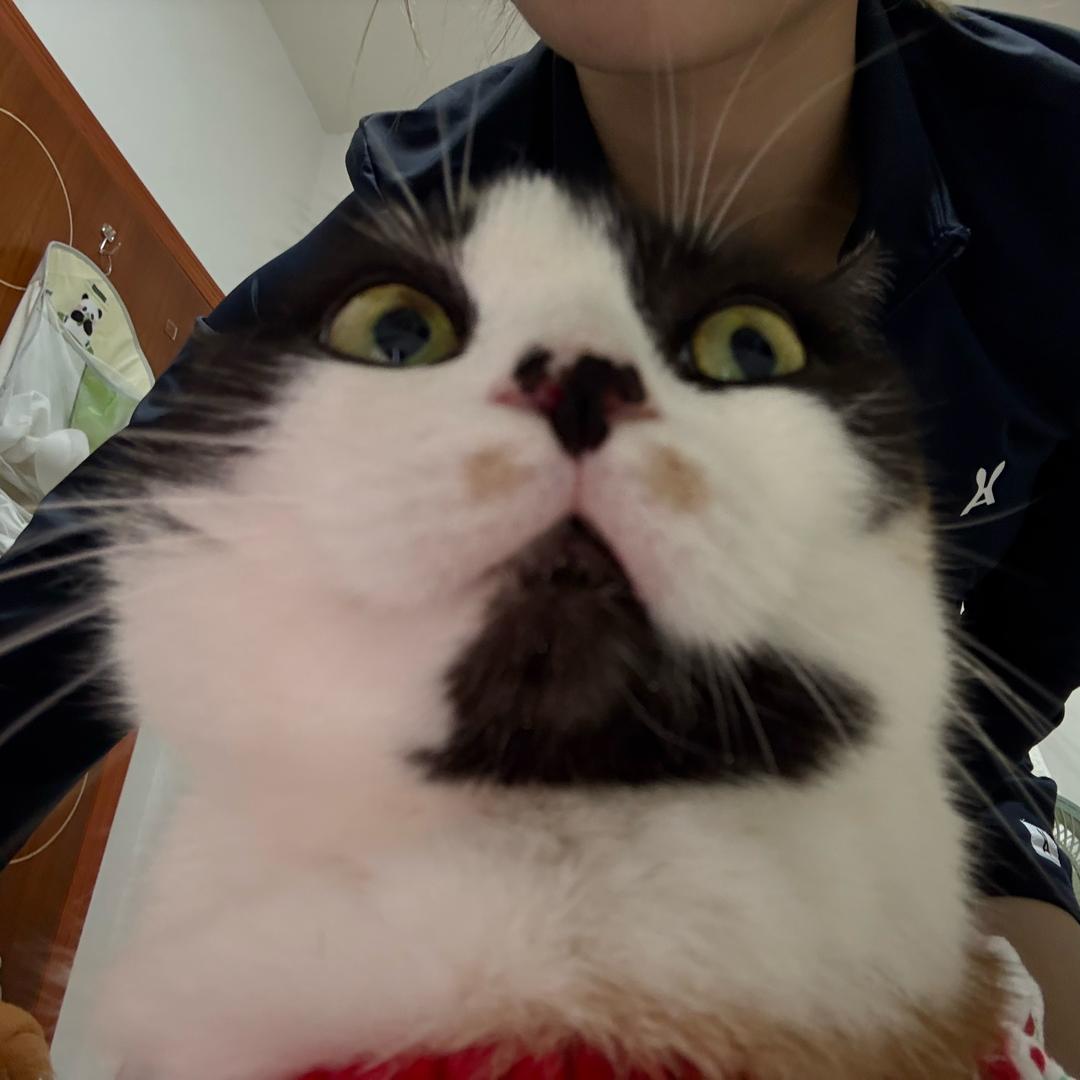 保温瓶🫙