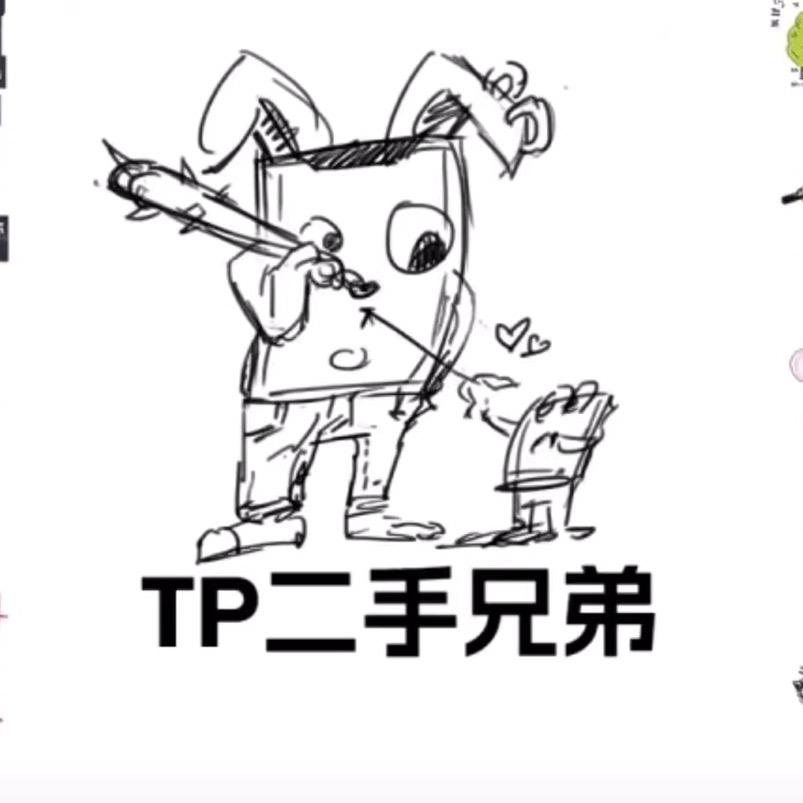 Tp兄弟二手性价比数码