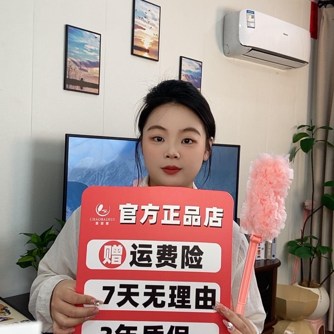 潮佰惠除尘掸