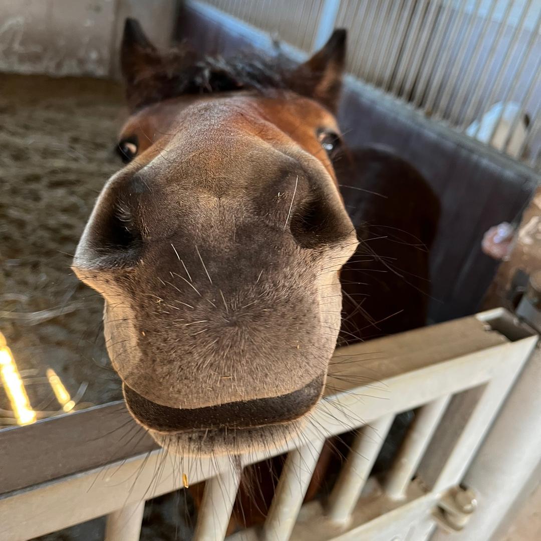 马德华🐎