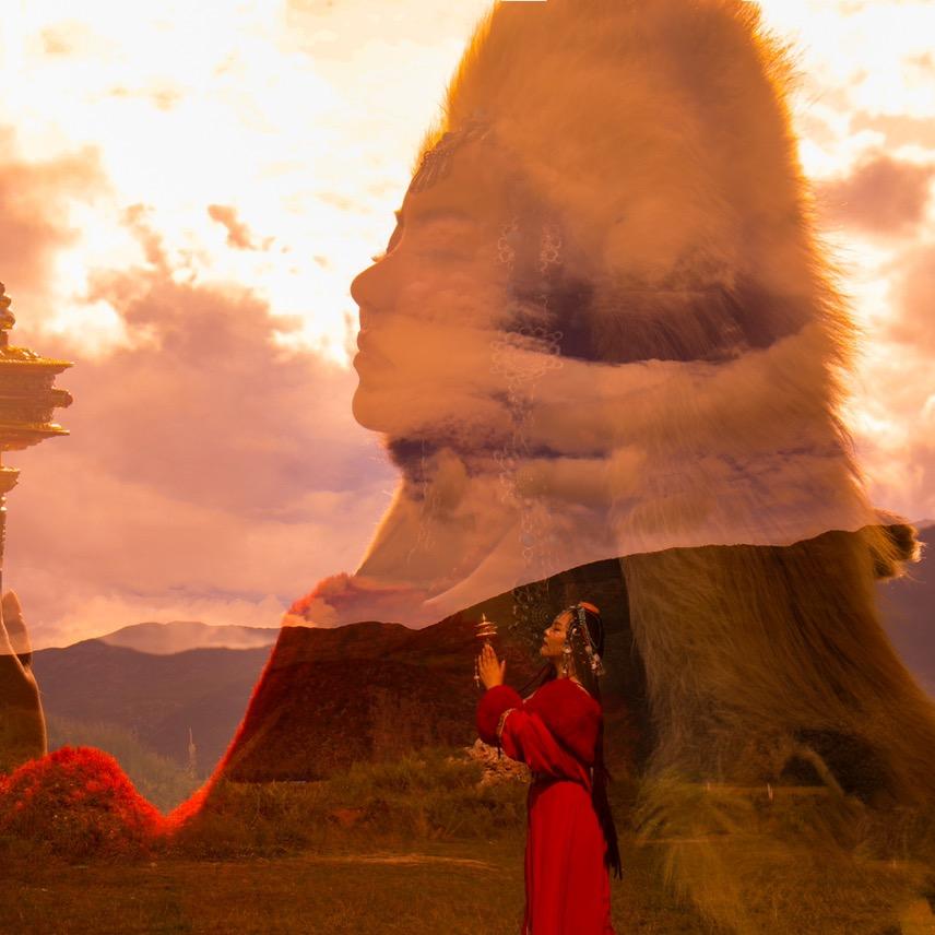 🦋International Z·