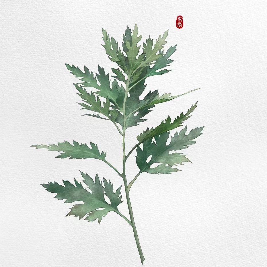 白白爱好物
