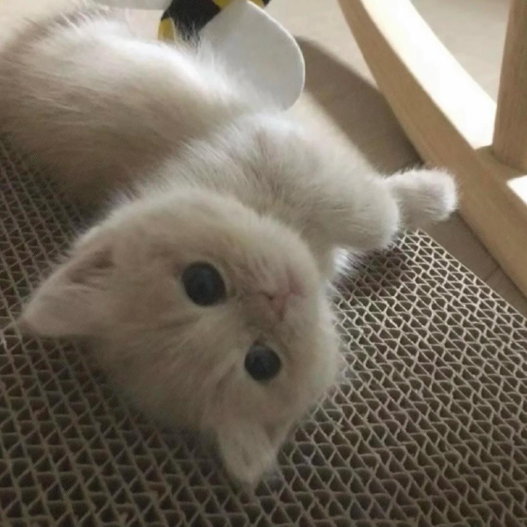 绿豆沙好好吃