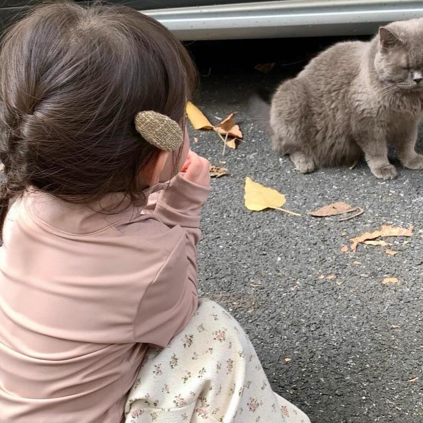 东湖学长（请关注我活动多多）