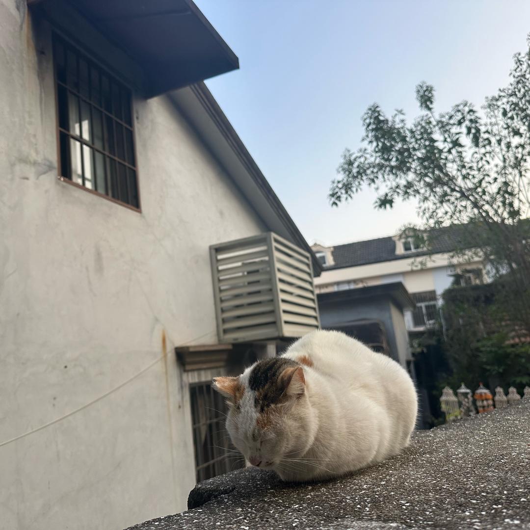 众鑫电商（分享电商经历）