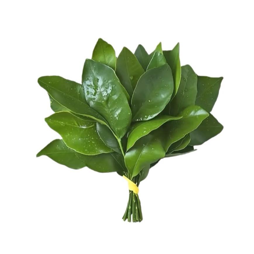 芬达