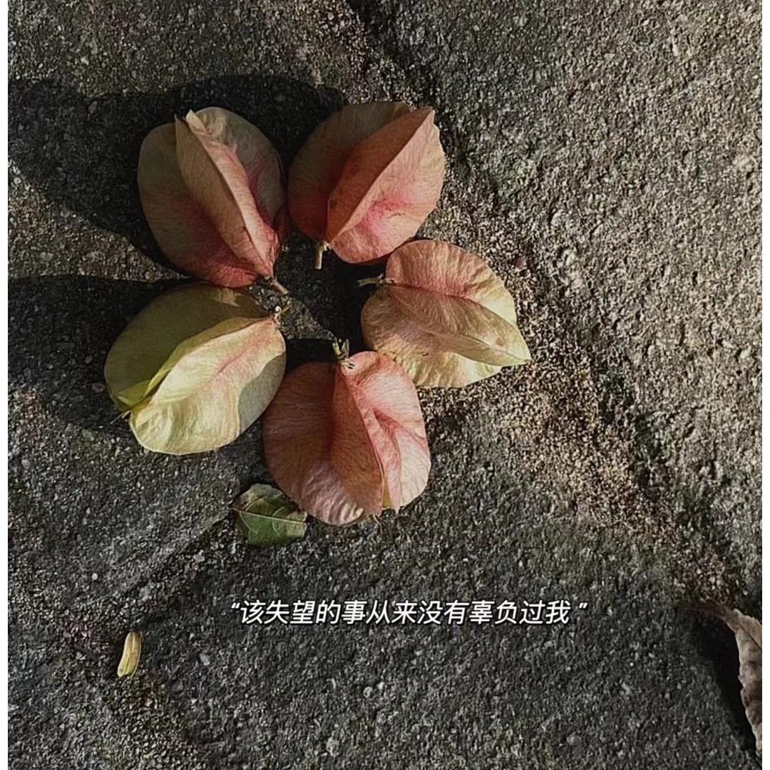双艺