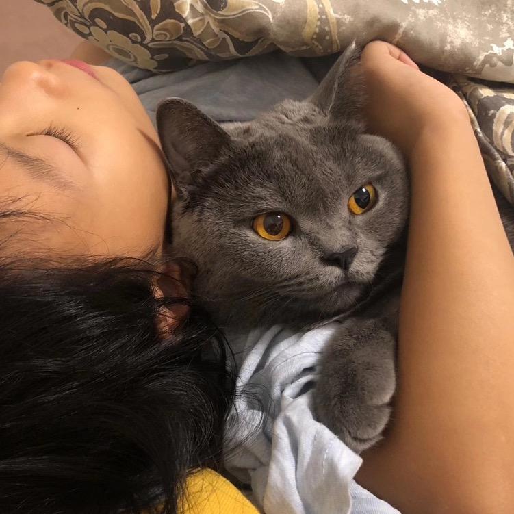 爱吃肉的蓝蓝