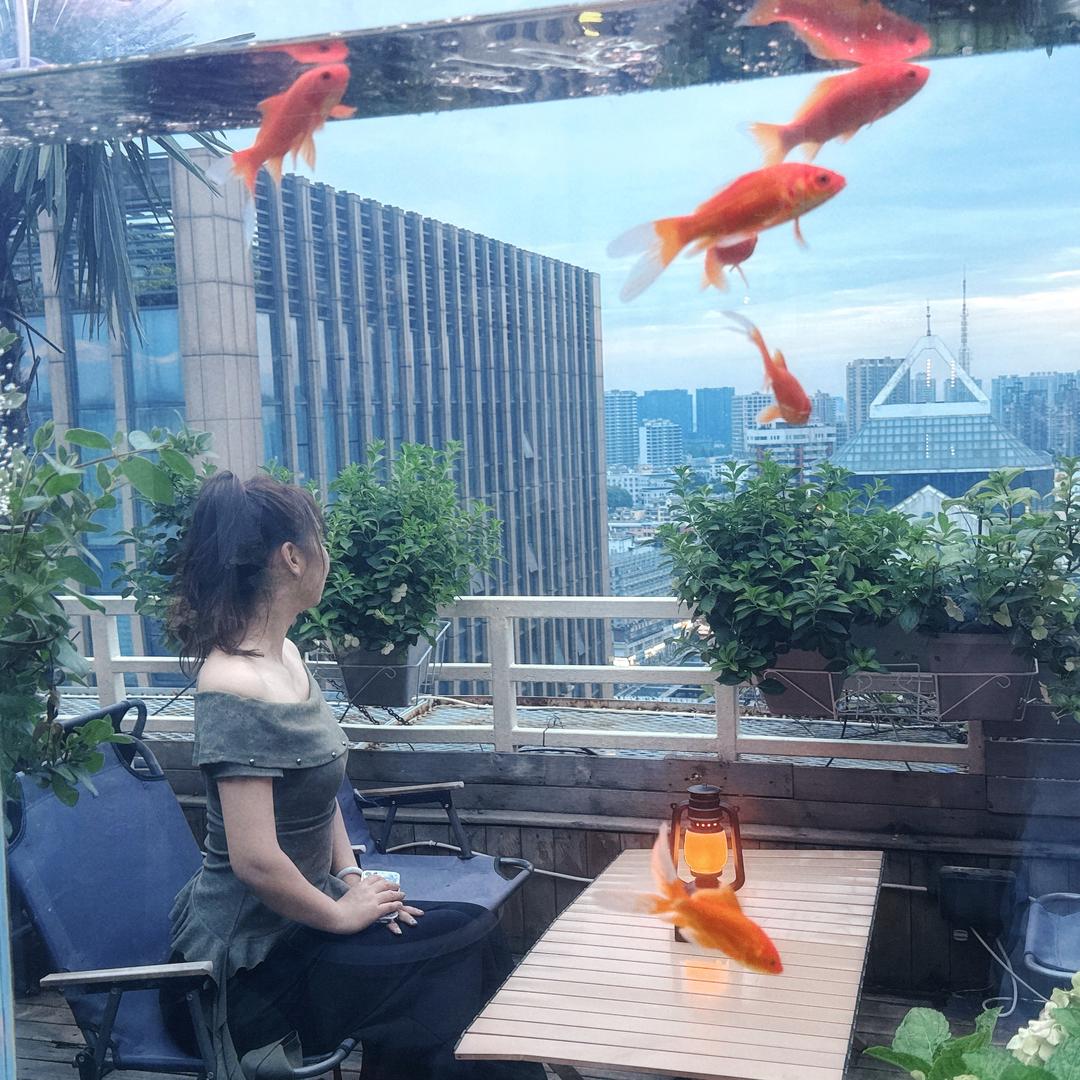 当当4223