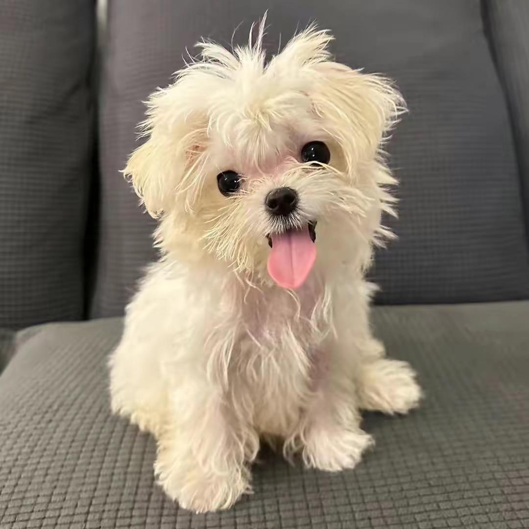 我没烦恼