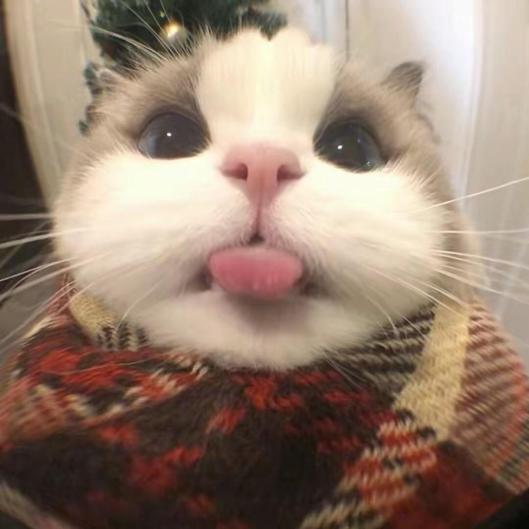 就很好哦