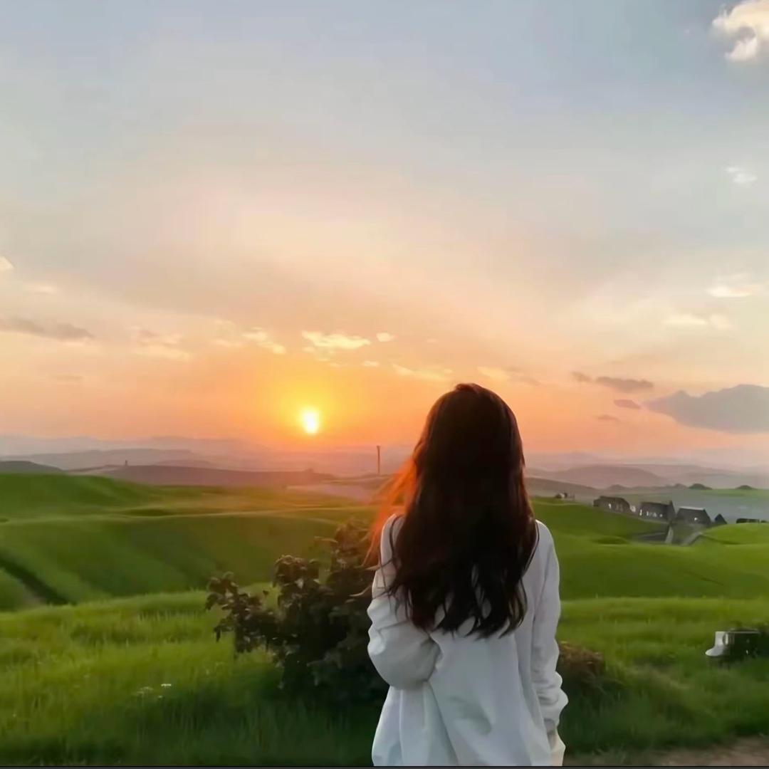 ☘️。夏末