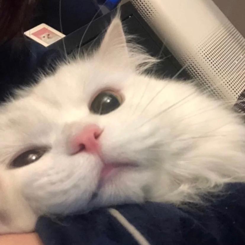 睡不醒走不动玩不了