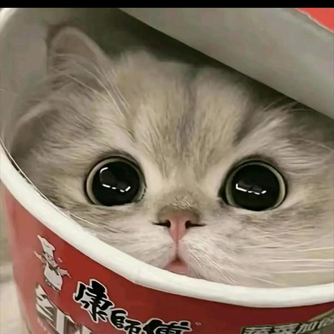 小安