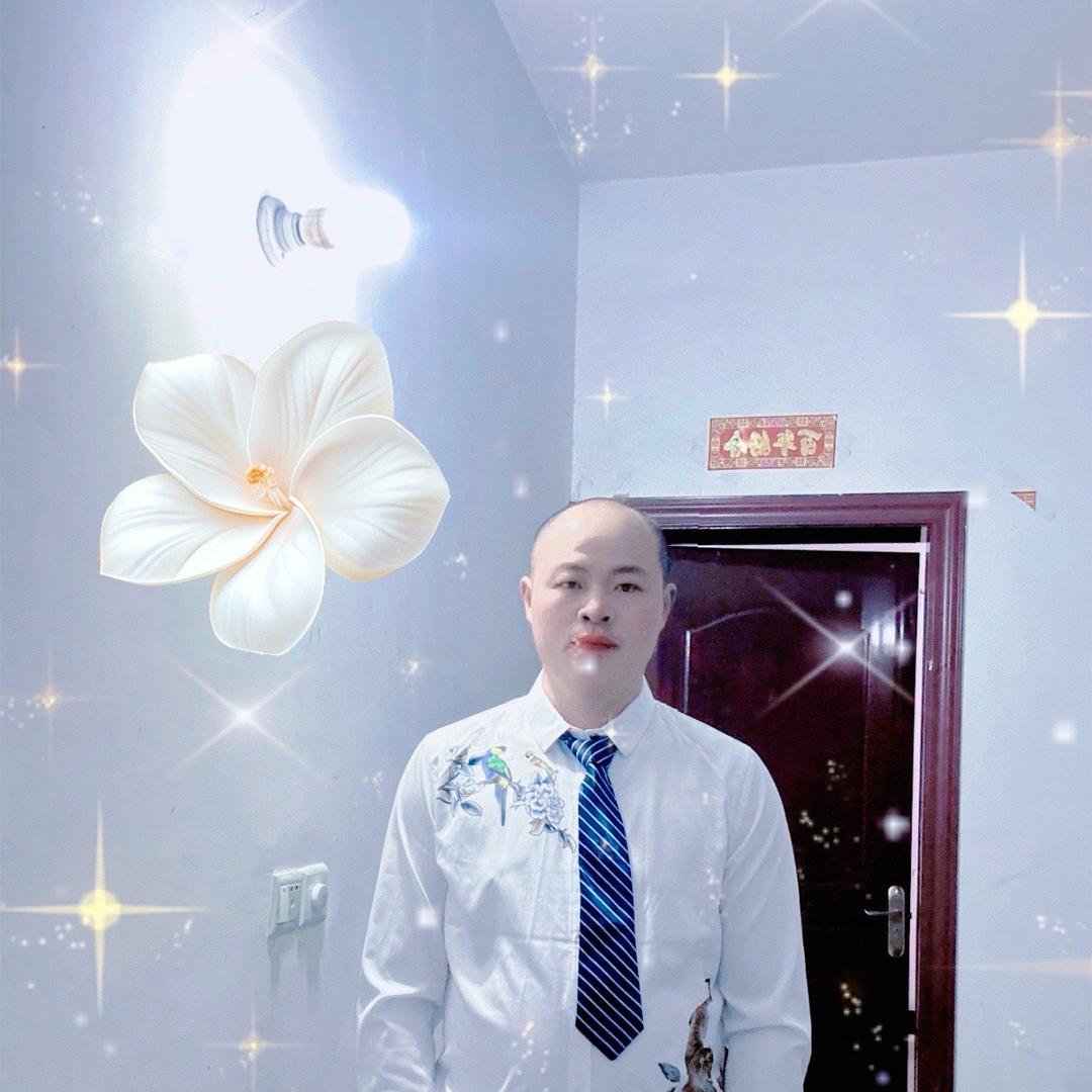 风把回忆摇落一地红，我已不再为谁而心动