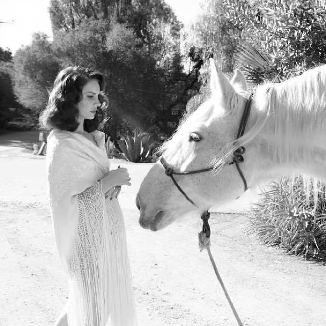 富强 民主 文明 和谐