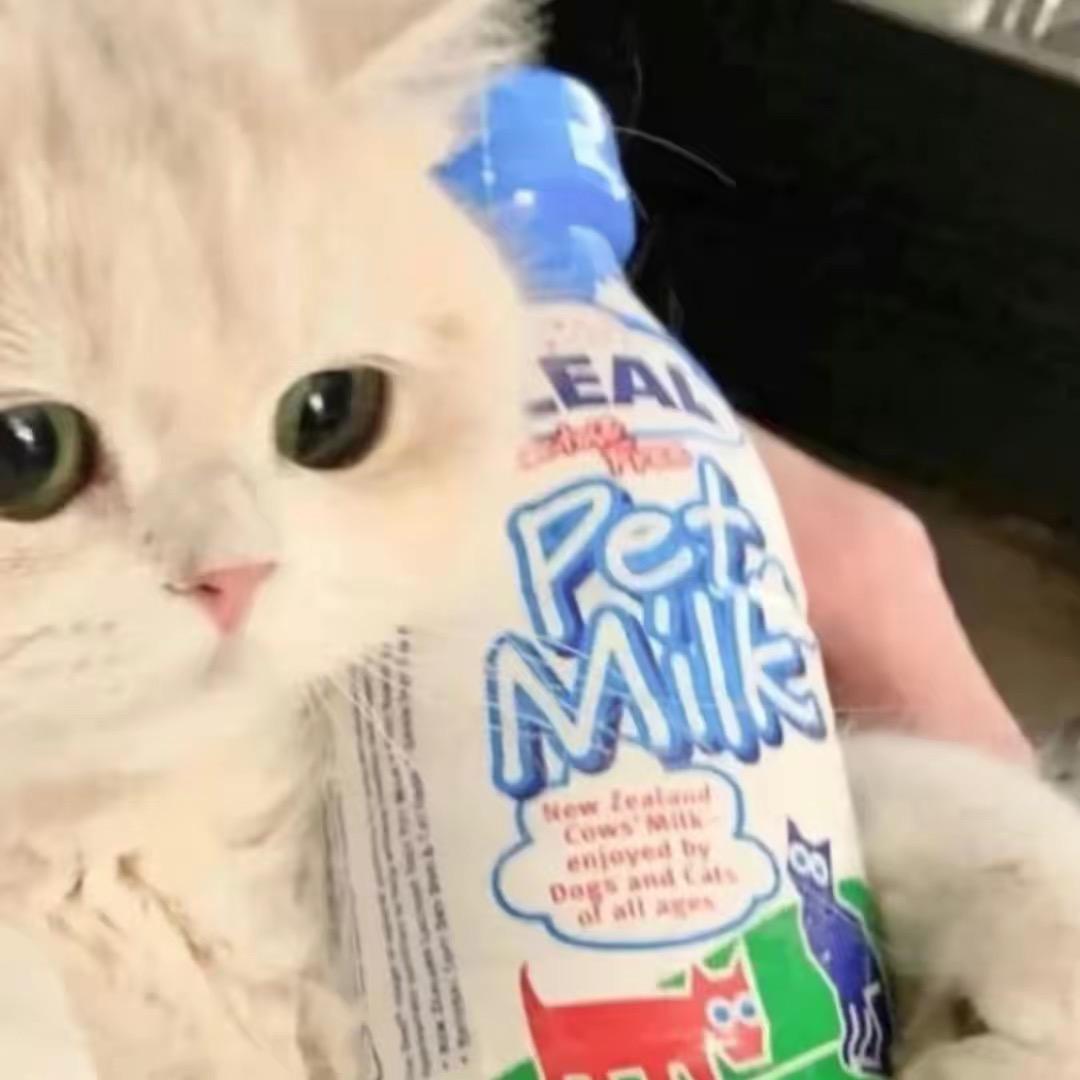 傲寒