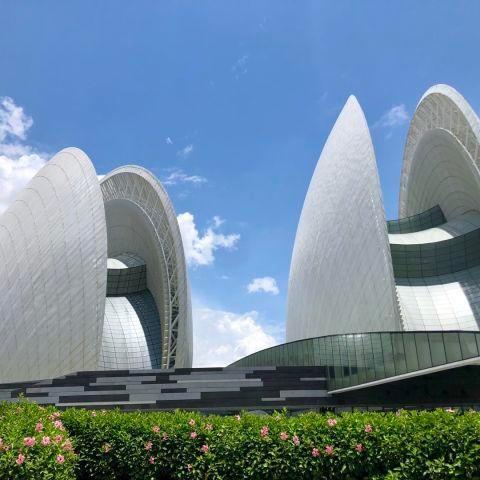 小小登哥人人夸