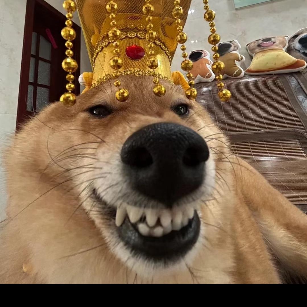 钱多多-手机置换回收