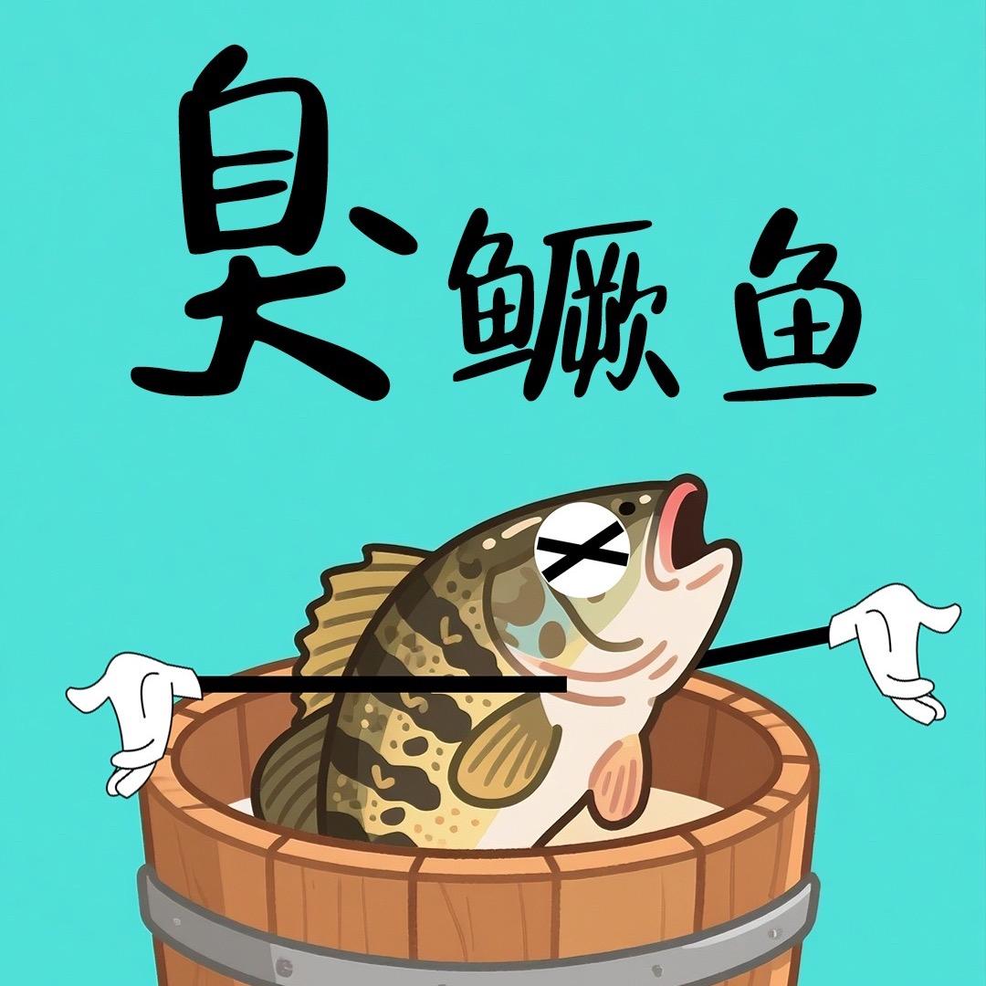 黄山臭鳜鱼精选