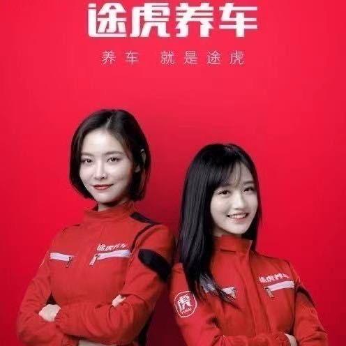 途虎小杨