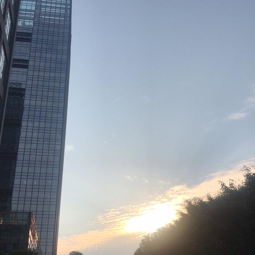 萍锦
