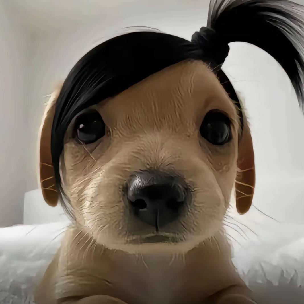 蓝莓大王