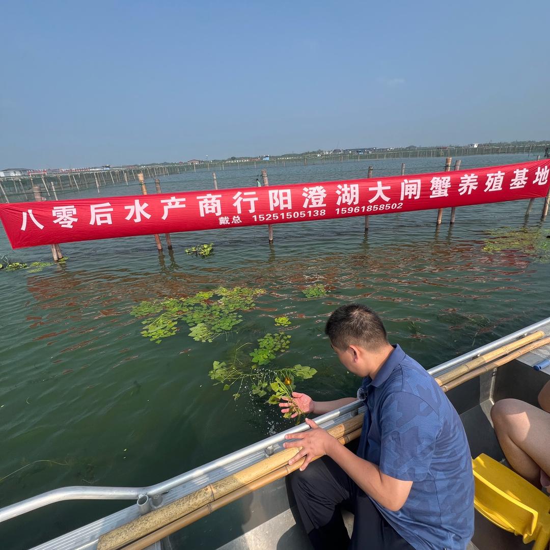 戴华新水产行