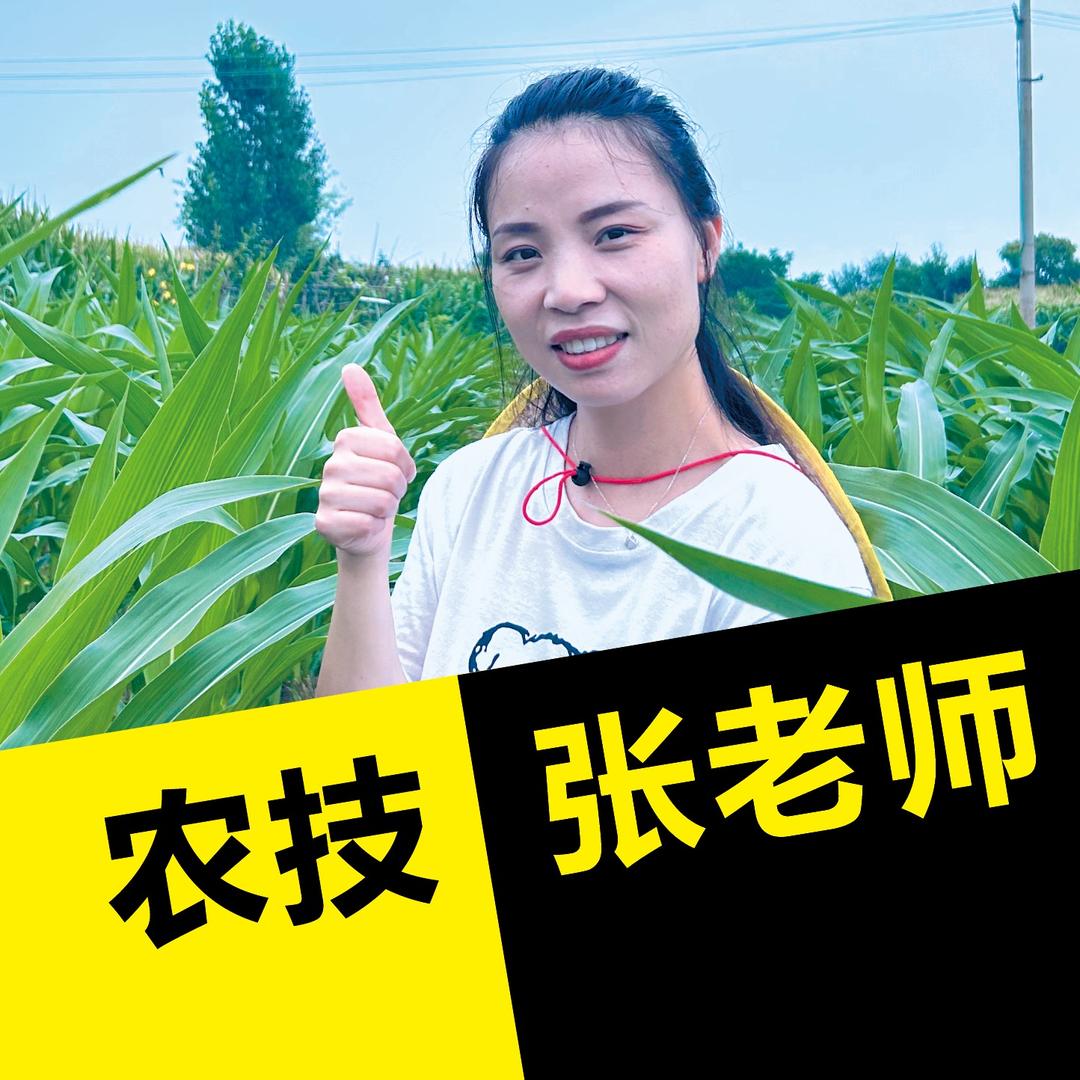 张星说农业