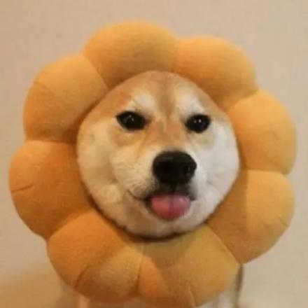 动物见闻