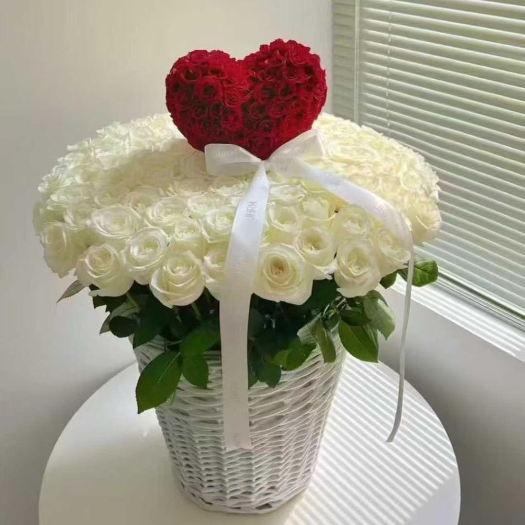 @乐瞳💐