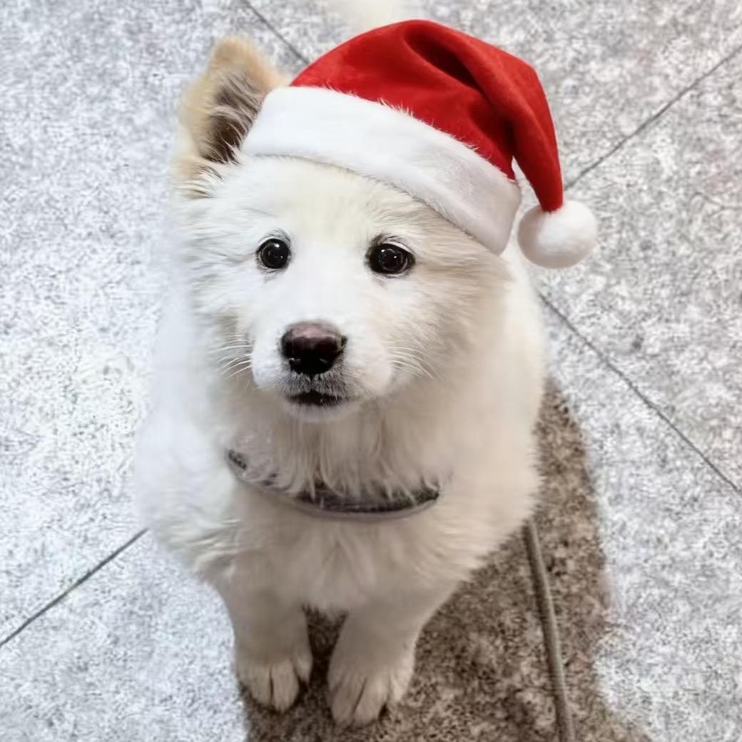 我是挖掘机挖挖挖